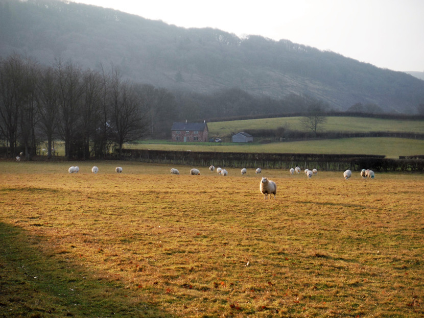 Winter day in the Irfon valley